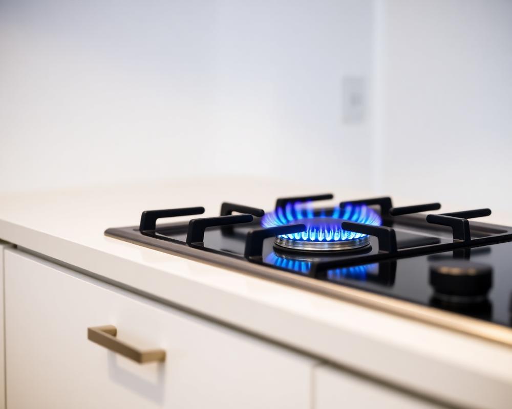 Cooktop Repair